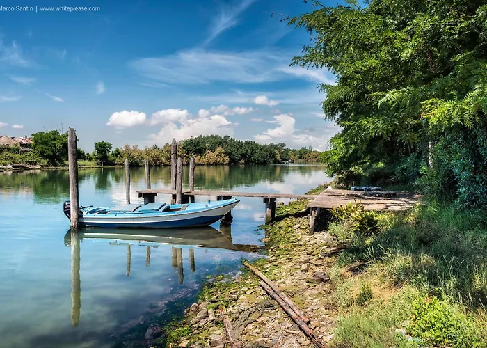 Oasis House - Host Solution Apartament