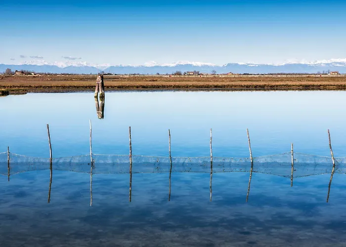 Oasis House - Host Solution 公寓 卡奥莱