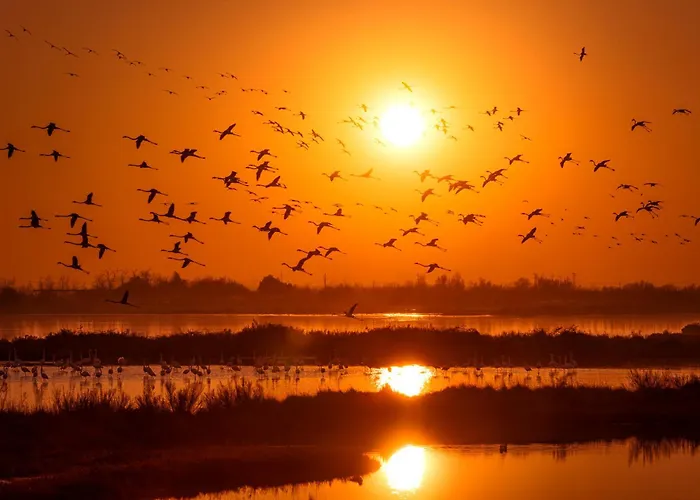 Oasis House - Host Solution * Caorle