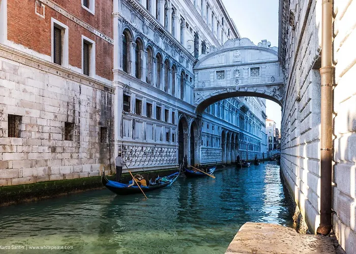 Oasis House - Host Solution